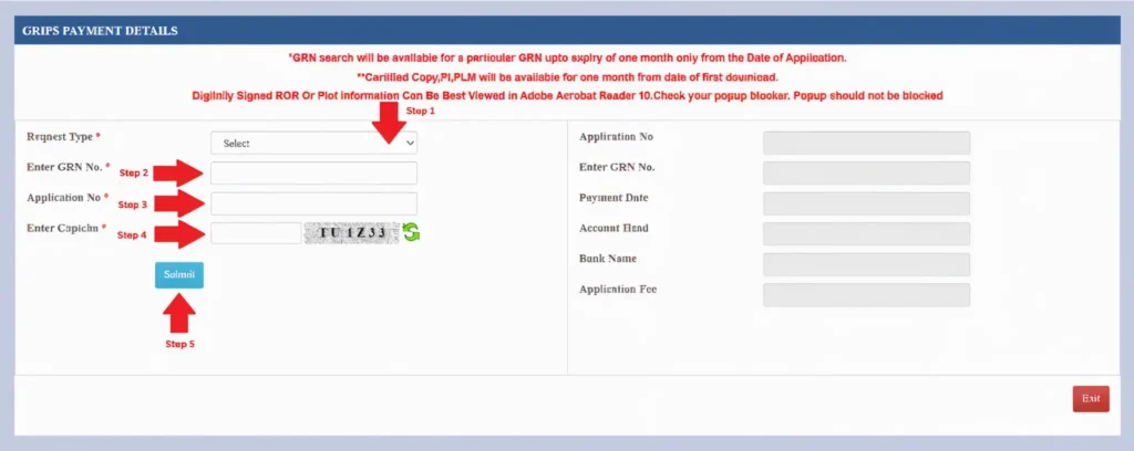 How to Download a Certified Copy of Your Porcha (e-Porcha)